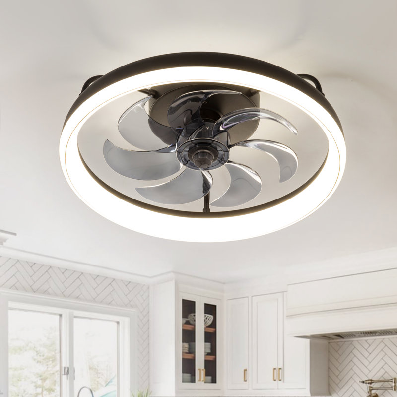 Jhonni 19" Ceiling Fans With Light Kit And Remote Control, Black