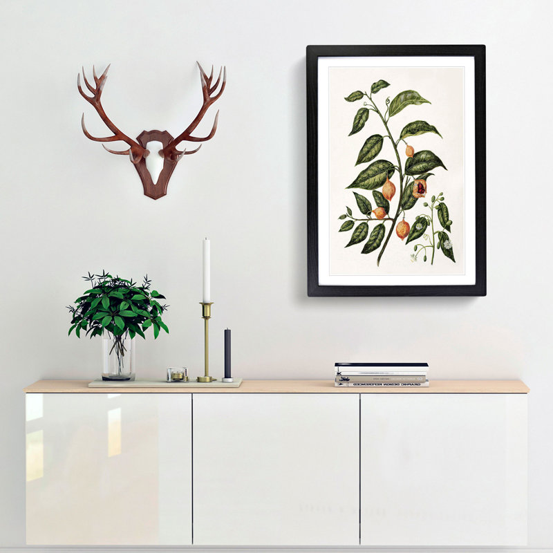 Passionfruit Plant by Sarah Featon - Framed Print, 65cm H x 48cm W x 2cm D, Black Framed