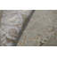 Oriental Indoor Rug