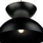 Cherity 1 - Light Satin Black Pendant