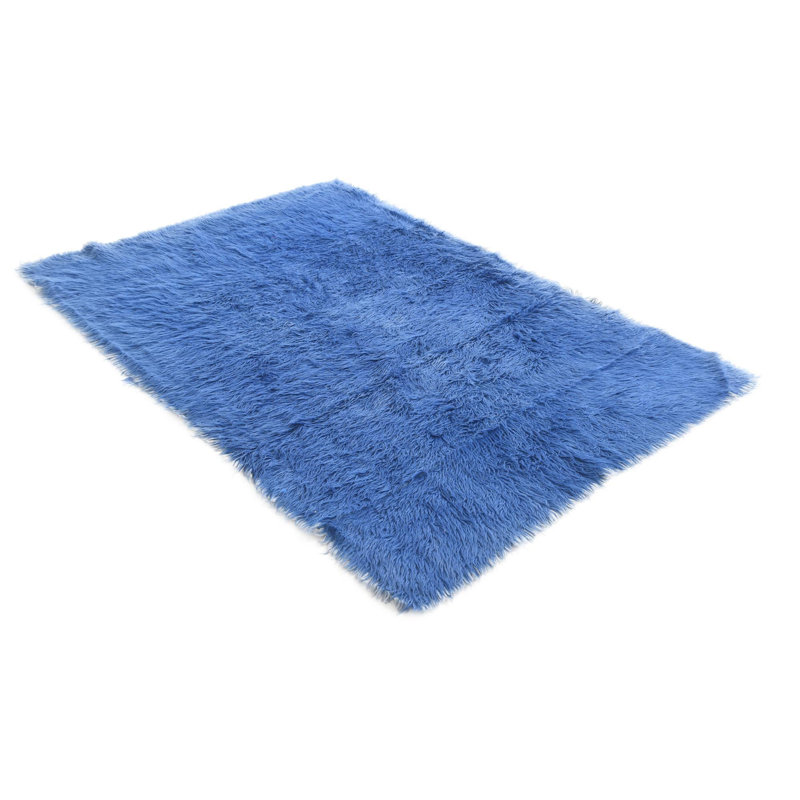 Tapis bleu 4 x 6 Phillippi