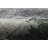 Rectangle Jadius 8'2" X 9'10" Area Rug
