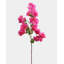 Fuchsia Bougainvillea Branch 44"