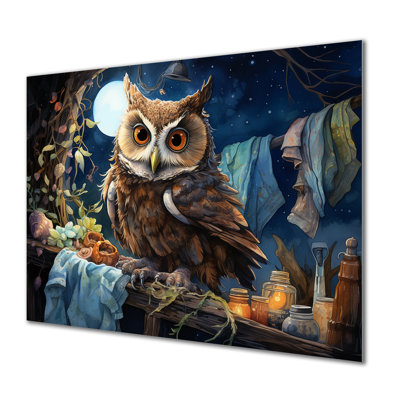 Owls Night Laundry  At Night - Laundry Metal Wall Art MT135141