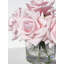 Arrangement de vraies roses dans un vase-1053552328