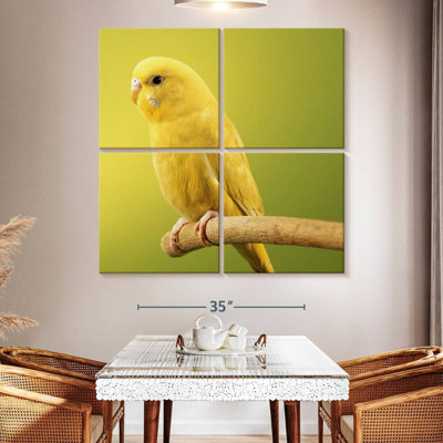 Brampt Perched Yellow Parakeet