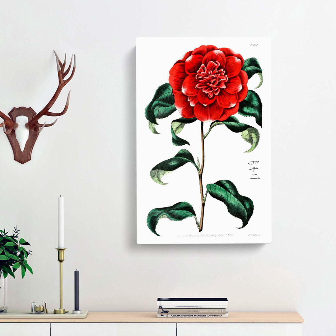 Crimson Camellia Flower - Wrapped Canvas