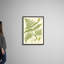 Art sur toile, "Ferns with Platemark I"-480121408-480121413