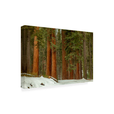 Art mural sur toile tendue - Jeff Poe Photographie «National Park image 7», art mural pour salon, chambre à coucher ou bureau - 16 x 24