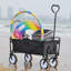 Chariot de plage pliable
