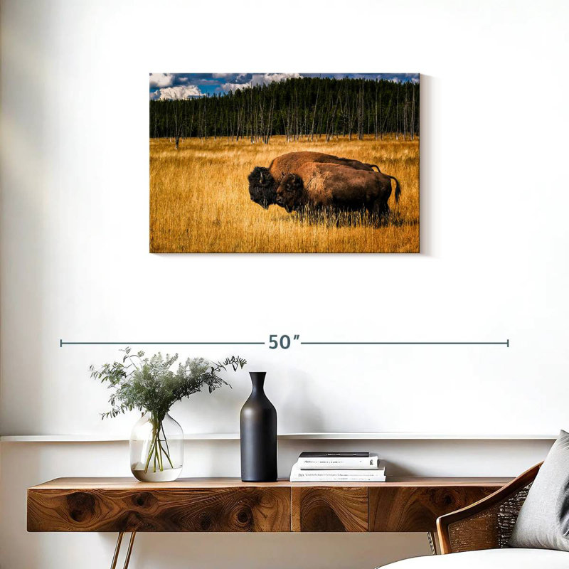 Brampt Bison In Summer, 20" H x 30" W