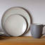 Noritake Colorwave Coupe Dinner Plates, 10-1/2"-85108223