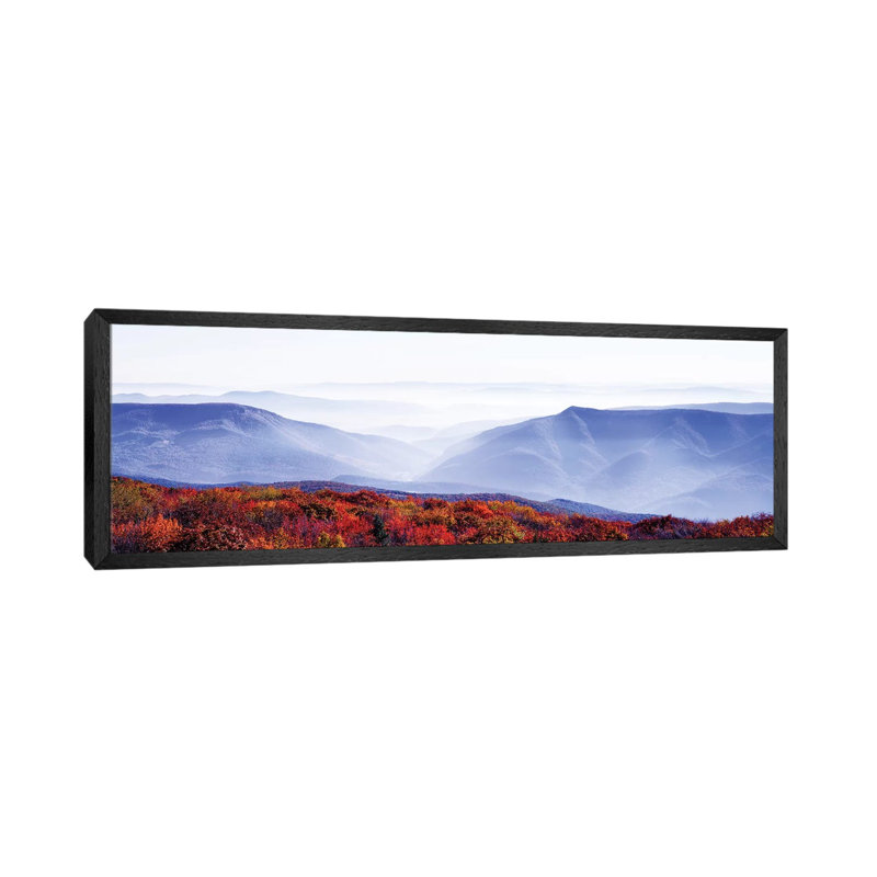 Dolly Sods Wilderness Area, Monongahela National Forest, West Virginia, USA - Panoramic Print on Canvas, Black Floater Framed