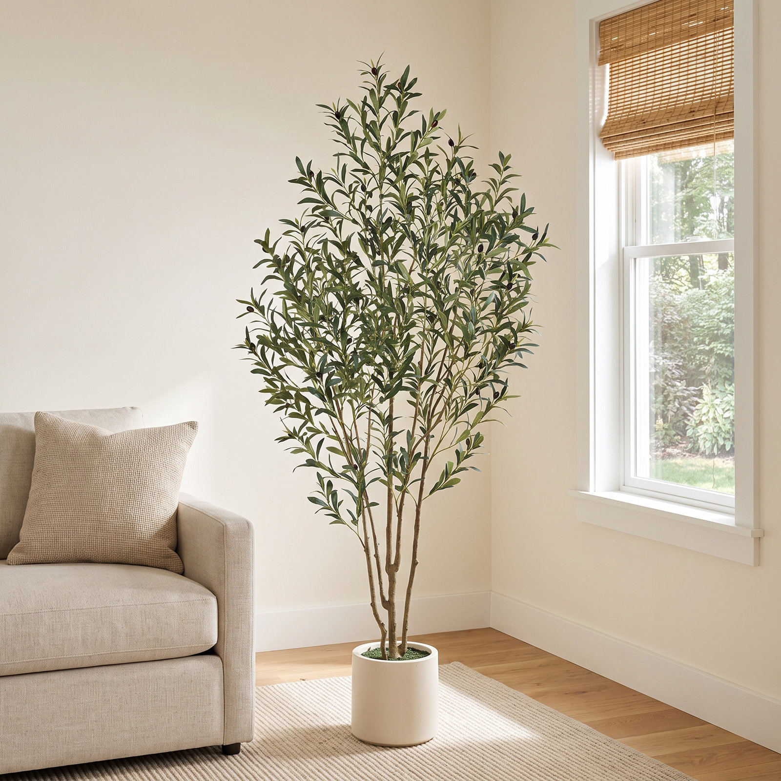George Olive Tree in Planter, 84" H x 28" W x 28" D