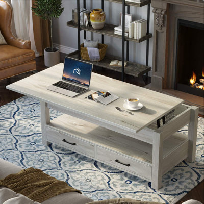 Eoghan Lift Top Coffee Table with 2 Drawers