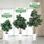 Arrangement