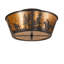 4 - Light Flush Mount