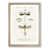 Oak Framed selected