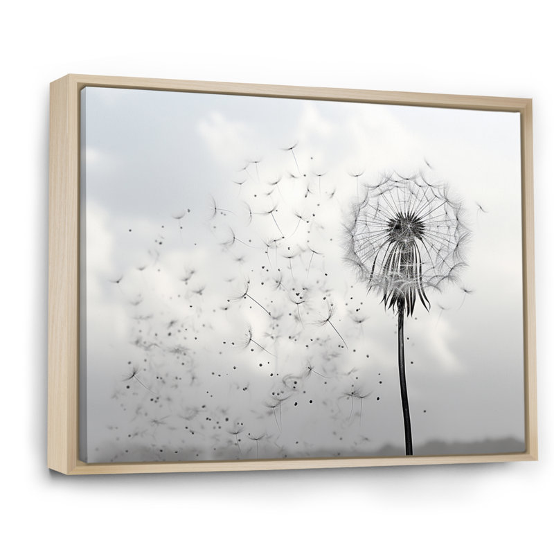 «Minimalims Dandelion Natures Fragility II», art mural encadré pissenlit, H 24 po x l 32 po x P 1 po, Cadre flottant érable