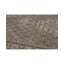 Oriental Area Rug