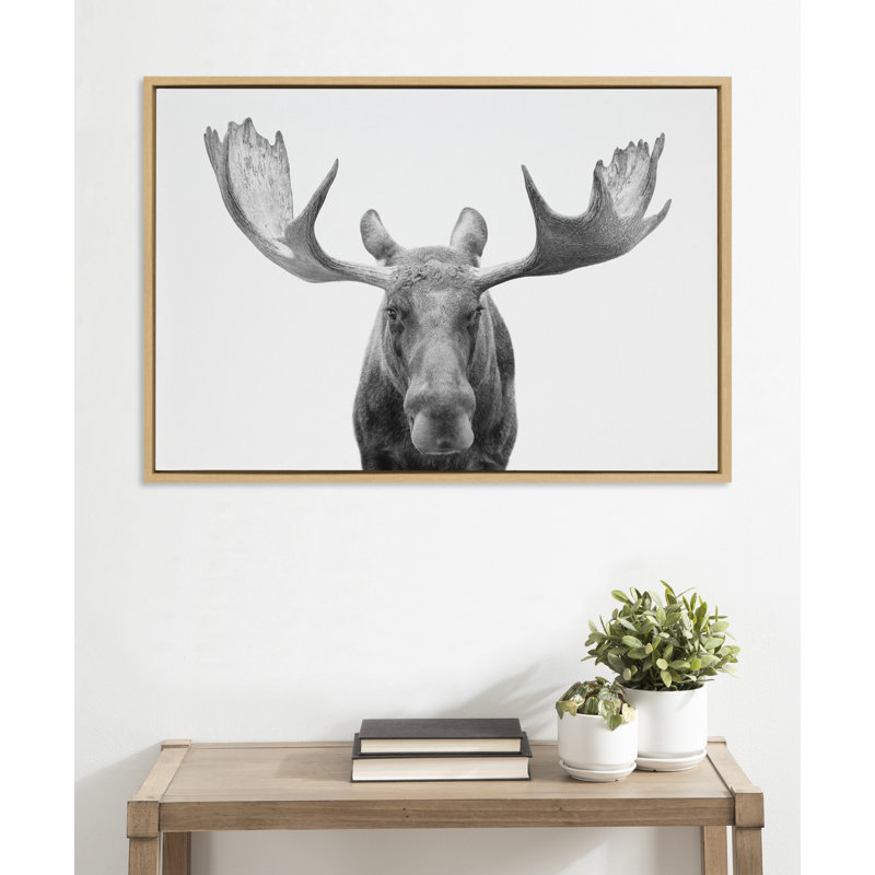 «Moose Black and White» par Amy Peterson, reproduction d'art sur toile encadrée