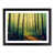 Black Framed selected