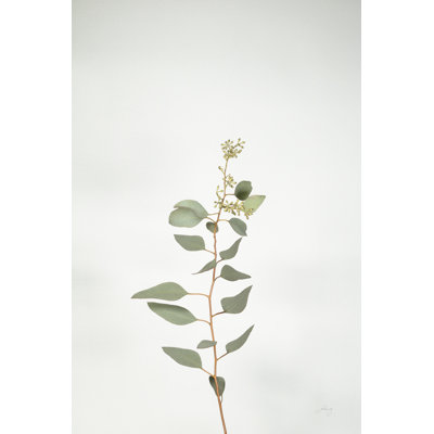 Simple Stems II par Felicity Bradley - on