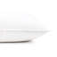 Ensemble de 2 oreillers en duvet et plumes de canard blanc-663767497