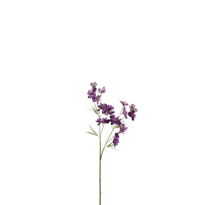 Delphinium Arrangement