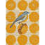 Bird Study I Print by Meredith Macleod-26928938-26928940