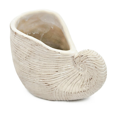 La jardinière en coquillage de 8,5 x 5,5 x 6,3 pouces de sable et de ciment, de finition beige, ajoute un style bohème aux salons de jardin texturés en ciment, parfaits pour les fougères