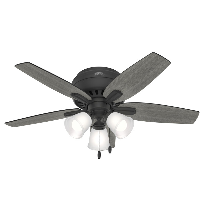 Newsome 42" 5 - Blade Traditional Indoor Flush Mount Ceiling Fan with Lights and Pull Chains, Matte Black