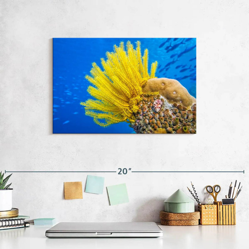 Brampt Yellow Feather Starfish, 8" H x 12" W