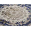 Oriental Area Rug-1213839837