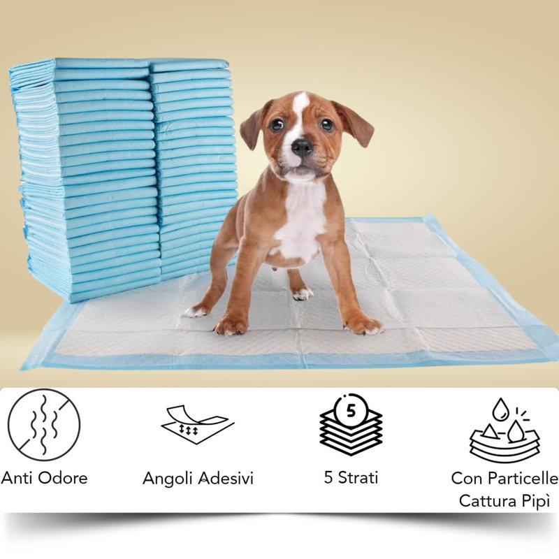 Coussin d'entraînement pour chien et chiot Scratchme