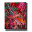  «Autumn Oak Leaves» par Danny Head, art mural sur toile, 20 po x 24 po