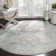 Chauncey Performance Oriental Rug