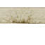 Sheep Of The World Hand Tufted Wool Area Rug in Sheep Beige-67144204