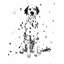 «Dalmatian Dog», reproduction sur toile-1210114086