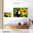Brampt Toco Toucan-108699888