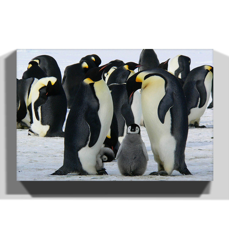 Wrapped Canvas Print, 40cm H x 60cm W