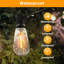 500 Cm 60 - Bulb Cord String Light