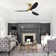 Loritta 52'' 3 - Blade Large Indooor Ceiling Fan With Light Kit and Remote, 3 LED Colors, 6 Speed Noiseless DC Motor, Timer