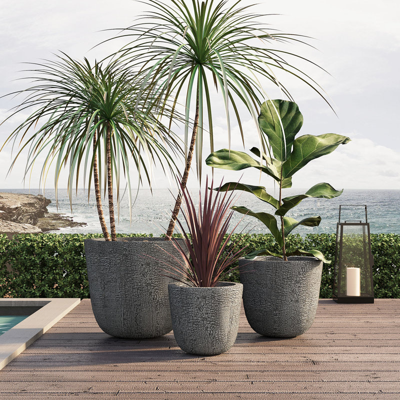 Ensemble de jardinières d'extérieur rustique craquelé MGO avec excellent drainage, Gris