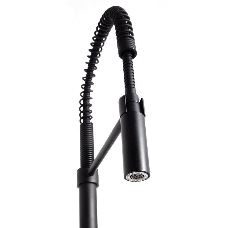 Sierra Pull Down Single Handle Kitchen Faucet with Side Spray and Accessories, Matte Black