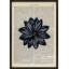 PHR-PHR Print by Michela Sorrentino-1149754581-1149754571