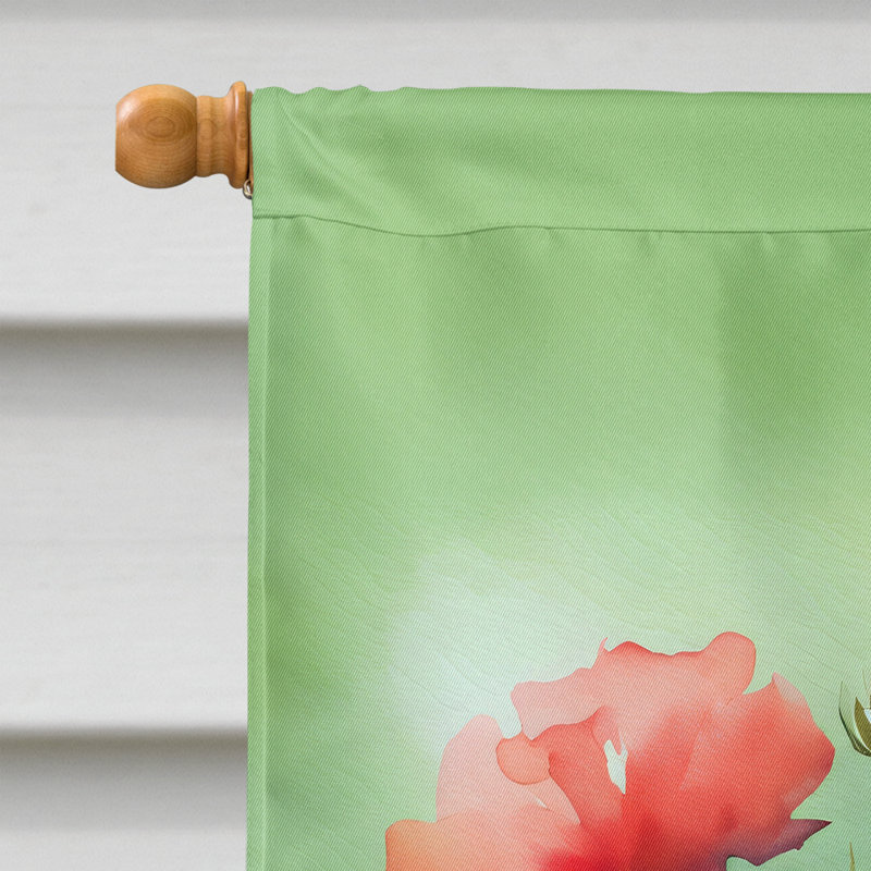Drapeau de maison en polyester à double face H 40 po x l 28 po