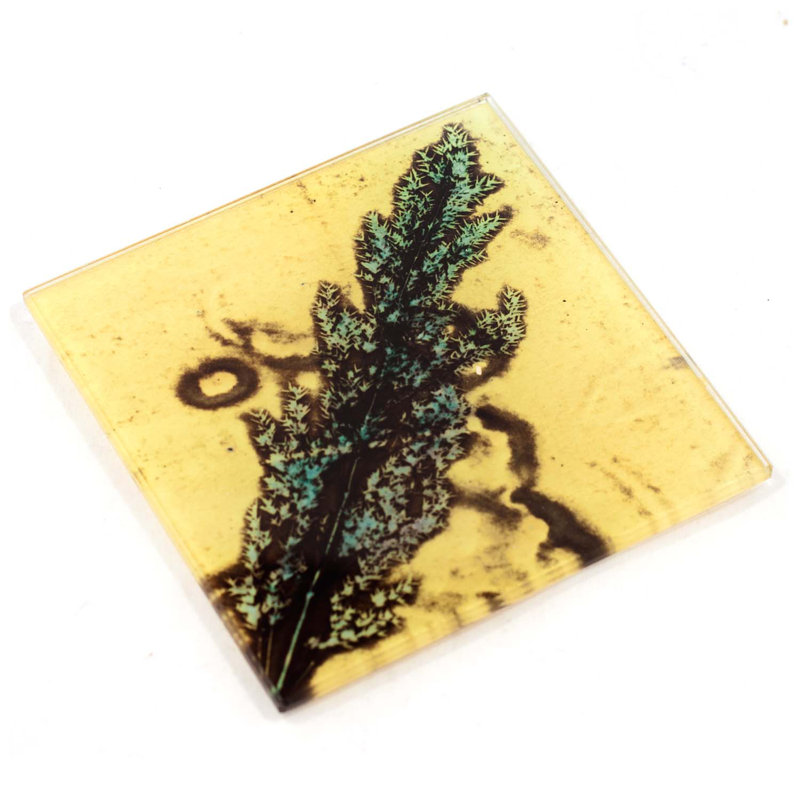 Glass Square 1 Piece Coaster