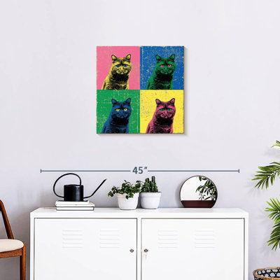 Brampt British Shorthair Pop