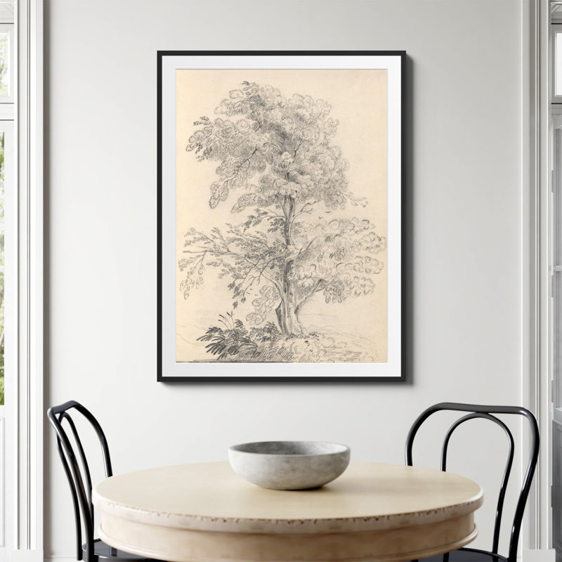 «Tree Sketch» par Wild Apple, H 48 po x l 36 po, Papier avec cadre simple noir, Oui